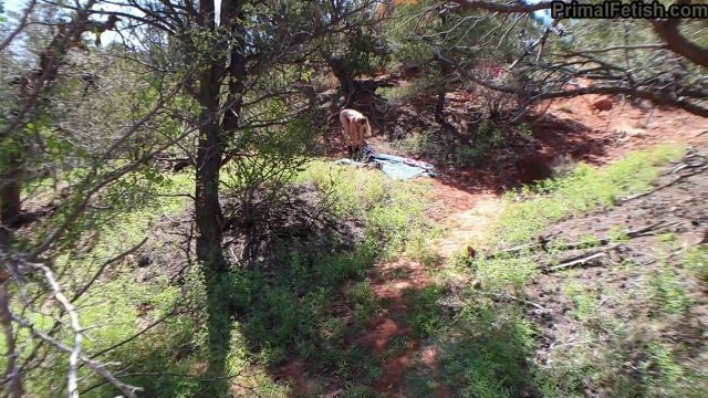 Превью Грудастая девка устроила с парнем потрясающий секс в палатке № 36307